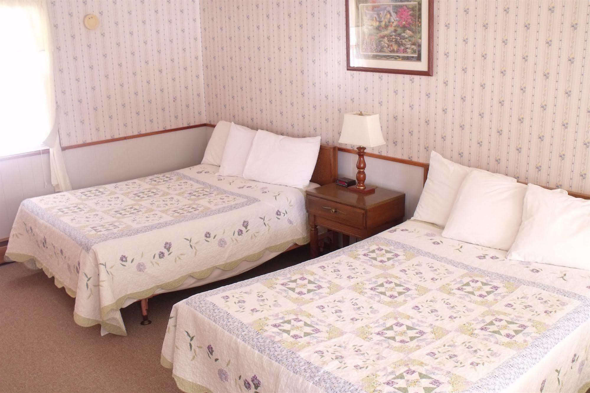Starlight Lodge نورث كونويه المظهر الخارجي الصورة